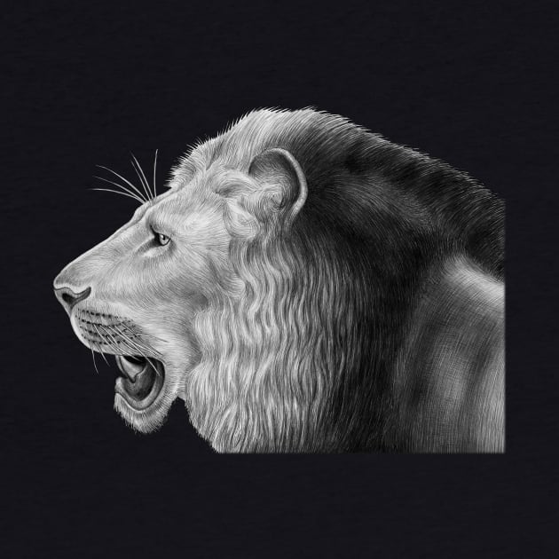 Lion by Tim Jeffs Art